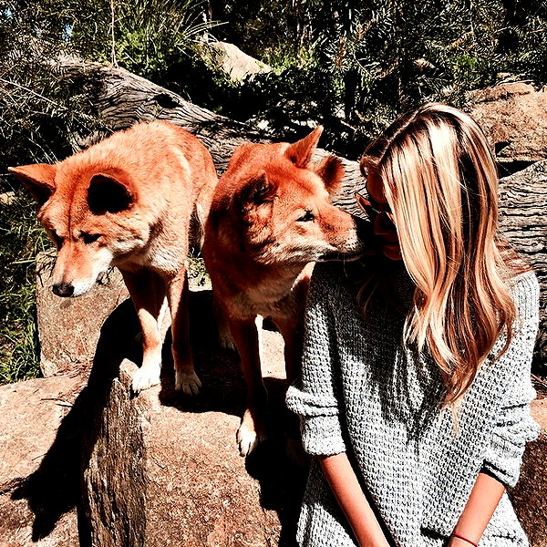 gigihadid instagram image archive image
