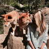 gigihadid Altpins Profile Picture