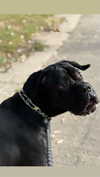 nikolll_._d Altpins Profile Picture