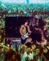 cannonstheband Altpins Profile Picture