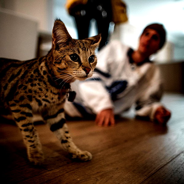 lilbieber instagram image archive image
