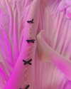 jadelaverne Altpins Profile Picture