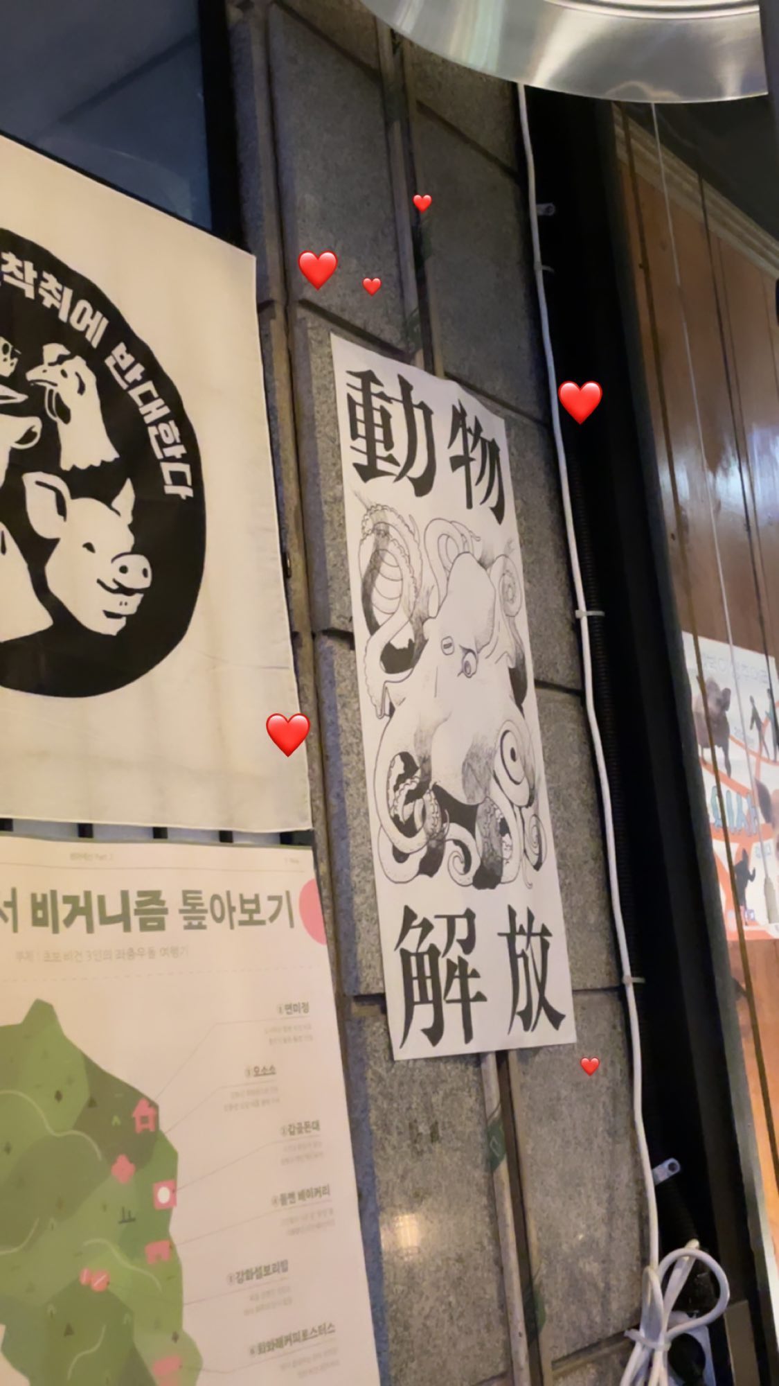 silkton instagram image archive image