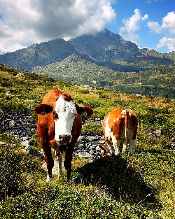 lotembar instagram image archive image