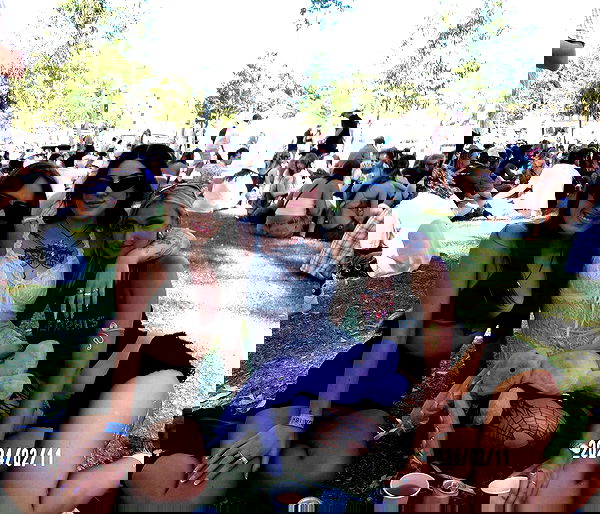 jtilb2 image ~ Altpins