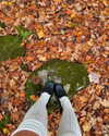 rouxroux.tv Altpins Profile Picture