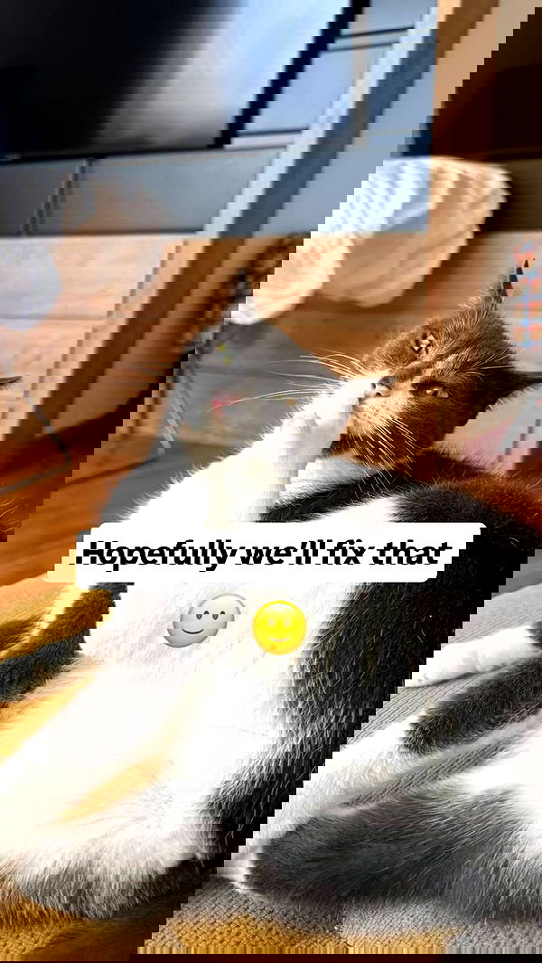 vive.la.lucy vive.la.lucy archive image