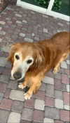 analuvillarreal Altpins Profile Picture