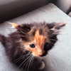 44cbrloveletter Altpins Profile Picture