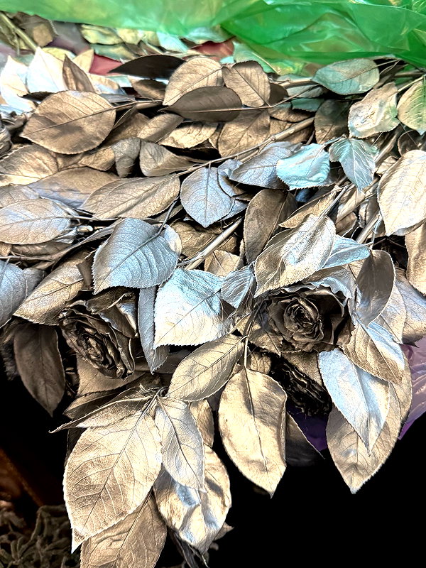 daryanedarya instagram image archive image