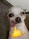 cata.leyah Altpins Profile Picture