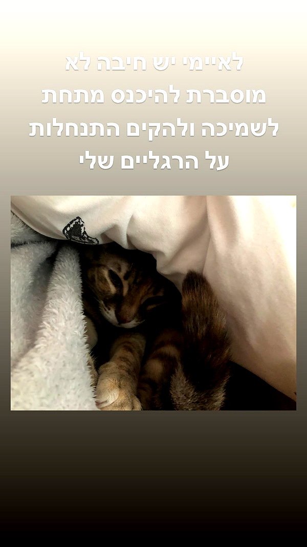 Archived image from @notchicore on Instagram