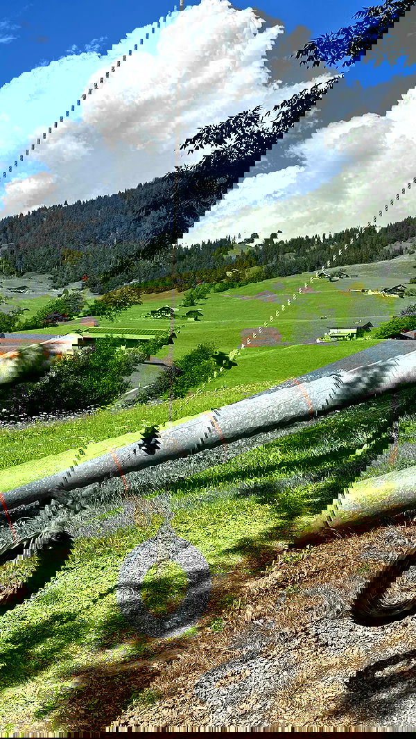 taylor.creeden taylor.creeden archive image