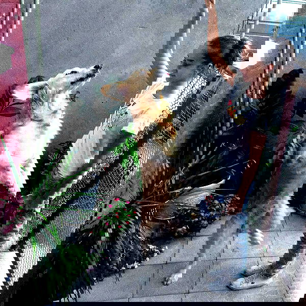 kkulakovaa image ~ Altpins