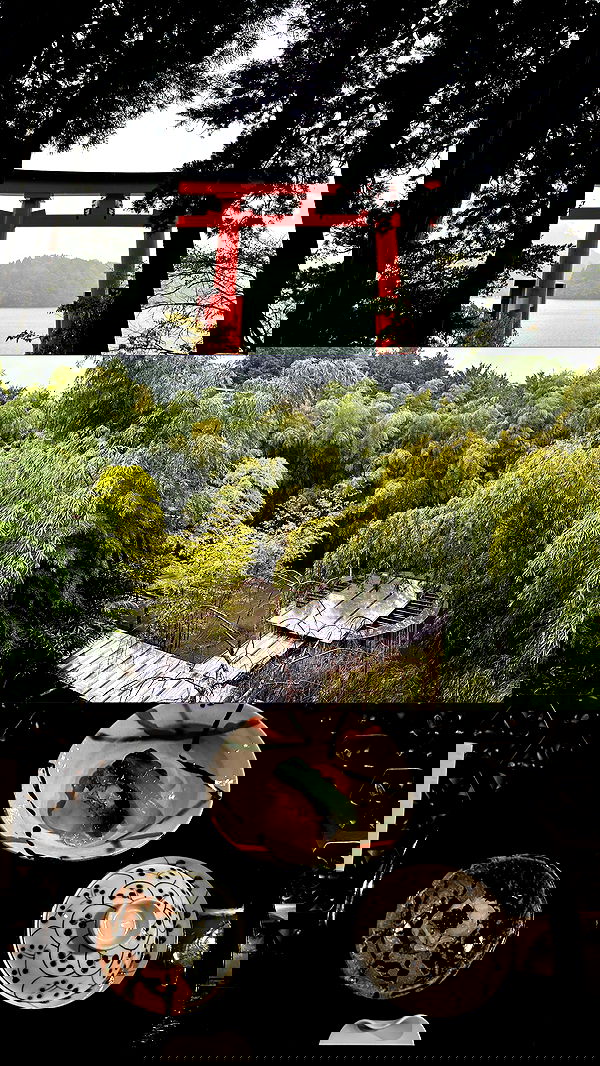 taylor.creeden taylor.creeden archive image