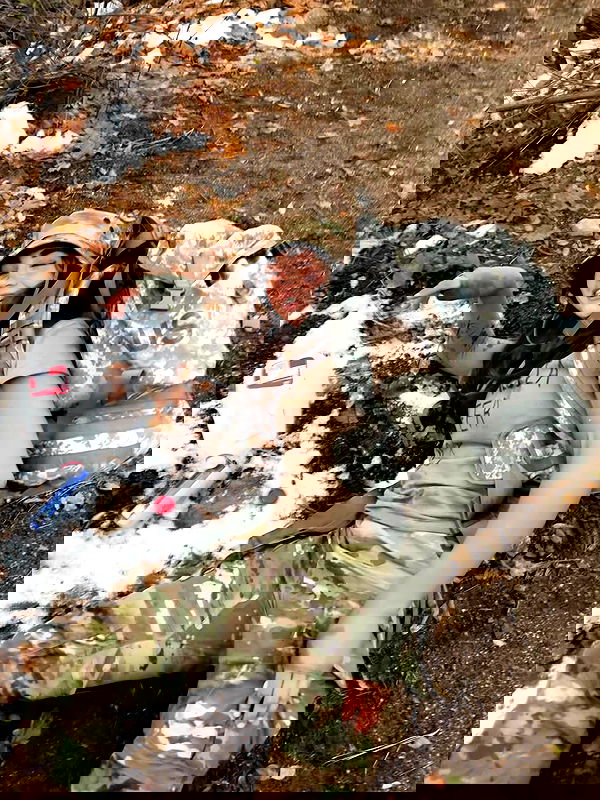 haylujan haylujan archive image