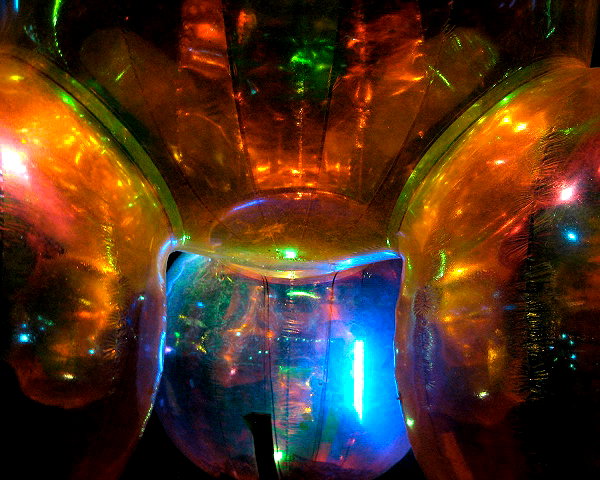 lolontlia instagram image archive image