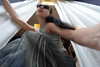 ninastodden Altpins Profile Picture