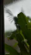 ann.shellll Altpins Profile Picture