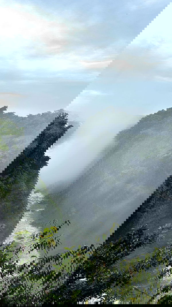 taylor.creeden taylor.creeden archive image