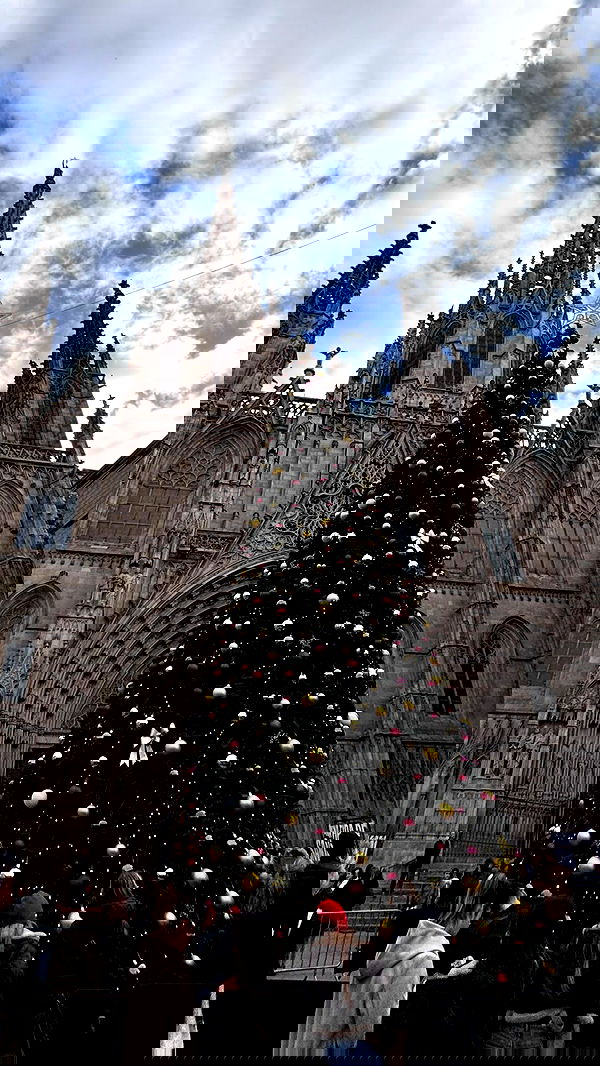 natalllluli natalllluli archive image