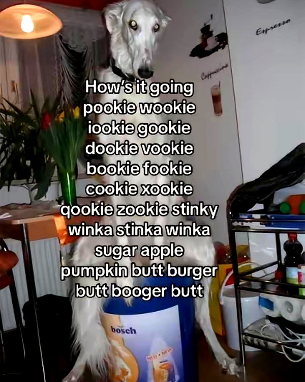 ptpchik instagram image archive image