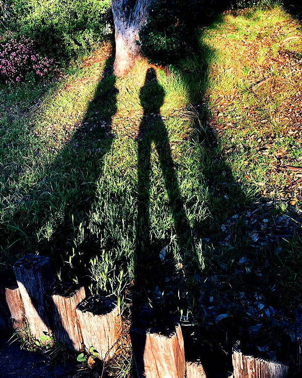 allissashin instagram image archive image