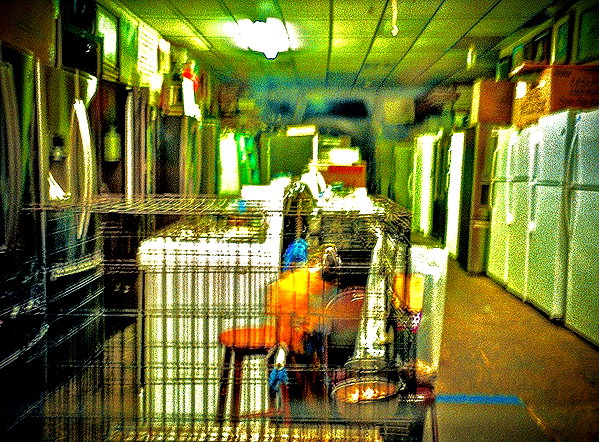 bugz4brainz instagram image archive image