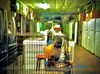 bugz4brainz Altpins Profile Picture