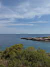 shira_adar_ Altpins Profile Picture