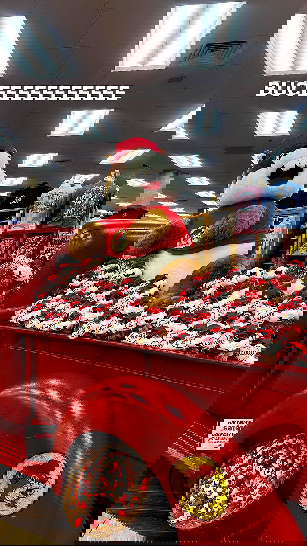 dracuina dracuina archive image