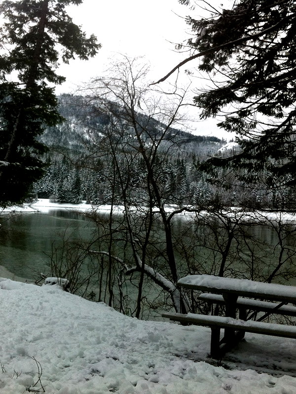 cialikechia instagram image archive image