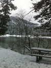 cialikechia Altpins Profile Picture