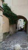kristti.a Altpins Profile Picture