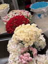 nomagdalina Altpins Profile Picture