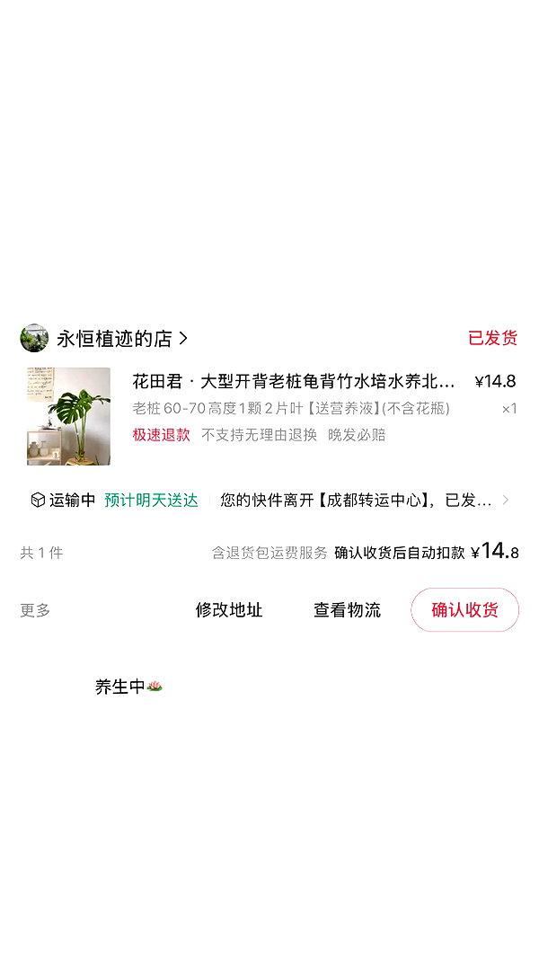ywwyiiing instagram image archive image
