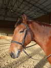 levsave Altpins Profile Picture