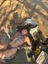 strawberryshanz Altpins Profile Picture