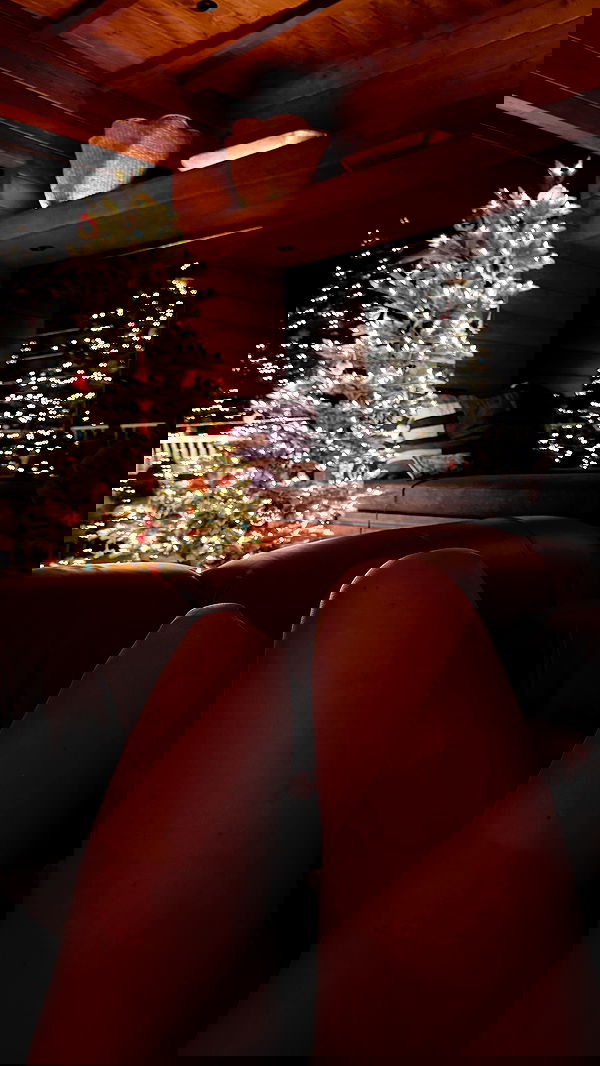 carolinezalog carolinezalog archive image