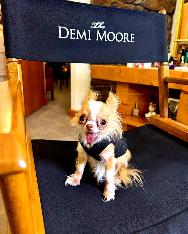 demimoore instagram image archive image