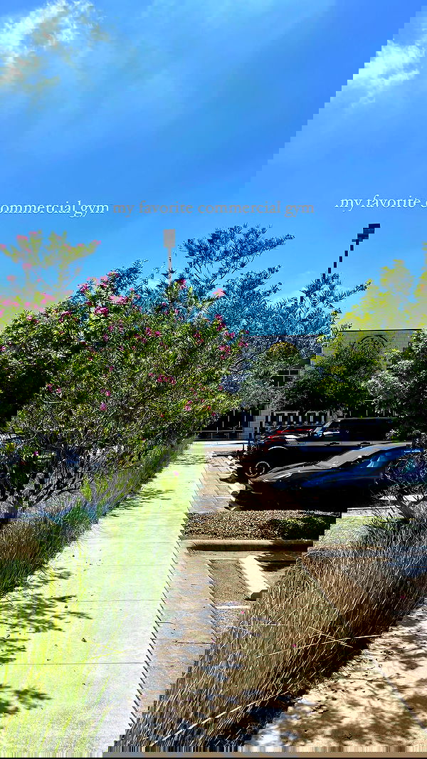 thelizzyporter thelizzyporter archive image