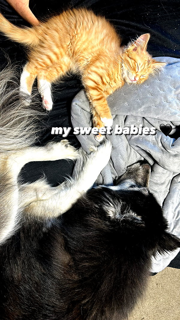 m0rguekittyy instagram image archive image