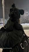 hoodifruit Altpins Profile Picture