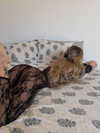 katrina.zaiceva Altpins Profile Picture