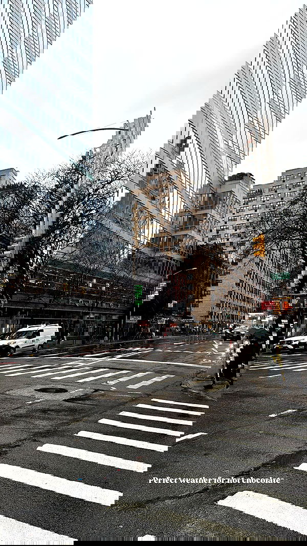 biton__adi biton__adi archive image