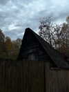 vollkova__ Altpins Profile Picture