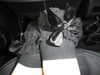 krystallea.cs Altpins Profile Picture