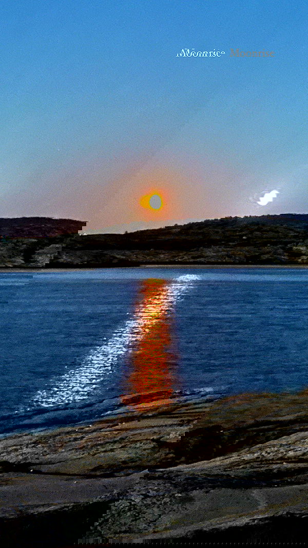 taylor.creeden taylor.creeden archive image