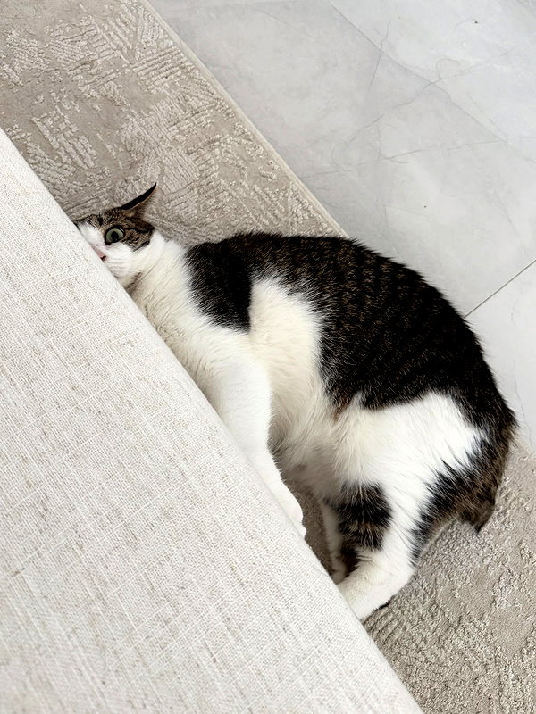 peachtoot.plz instagram image archive image