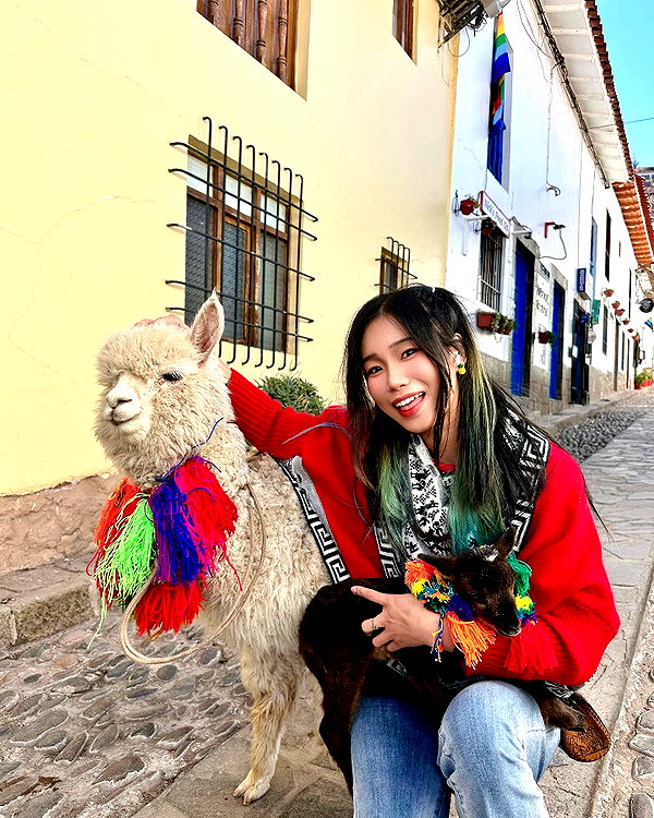shulunc instagram image archive image